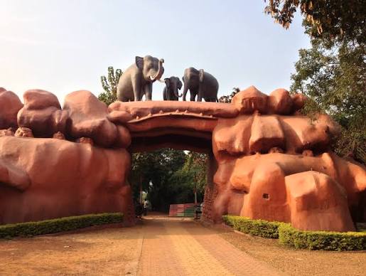 Chandaka Wildlife Sanctuary